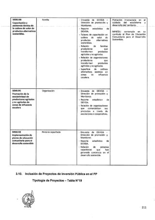 ANEXO 2 - 2019 PIRDAIS_.pdf