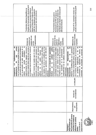 ANEXO 2 - 2019 PIRDAIS_.pdf