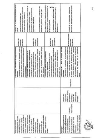 ANEXO 2 - 2019 PIRDAIS_.pdf