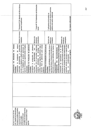 ANEXO 2 - 2019 PIRDAIS_.pdf