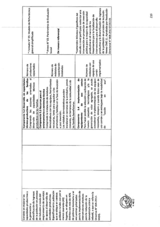 ANEXO 2 - 2019 PIRDAIS_.pdf