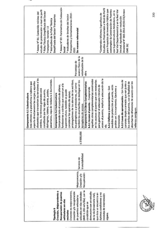 ANEXO 2 - 2019 PIRDAIS_.pdf