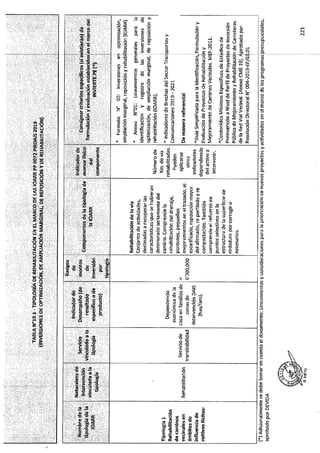 ANEXO 2 - 2019 PIRDAIS_.pdf