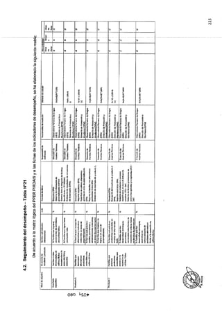 ANEXO 2 - 2019 PIRDAIS_.pdf