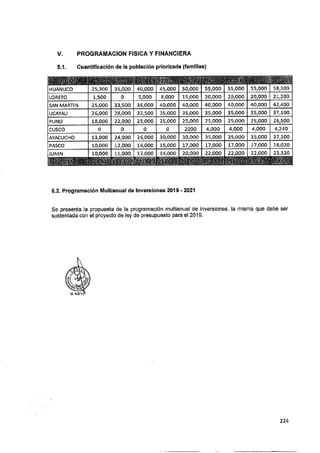ANEXO 2 - 2019 PIRDAIS_.pdf