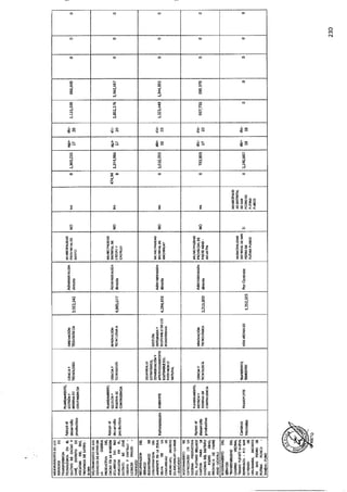 ANEXO 2 - 2019 PIRDAIS_.pdf