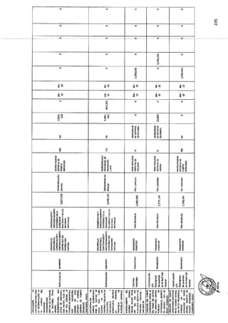 ANEXO 2 - 2019 PIRDAIS_.pdf