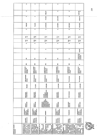 ANEXO 2 - 2019 PIRDAIS_.pdf