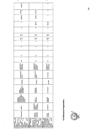 ANEXO 2 - 2019 PIRDAIS_.pdf