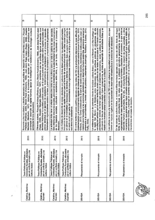 ANEXO 2 - 2019 PIRDAIS_.pdf