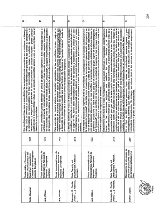 ANEXO 2 - 2019 PIRDAIS_.pdf