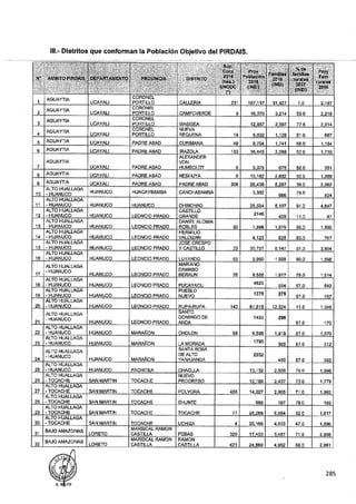 ANEXO 2 - 2019 PIRDAIS_.pdf
