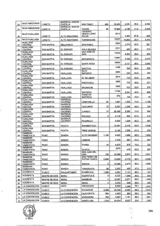 ANEXO 2 - 2019 PIRDAIS_.pdf