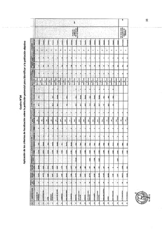 ANEXO 2 - 2019 PIRDAIS_.pdf