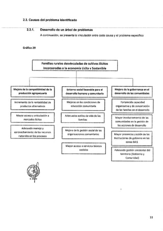 ANEXO 2 - 2019 PIRDAIS_.pdf