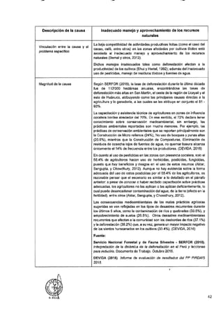 ANEXO 2 - 2019 PIRDAIS_.pdf