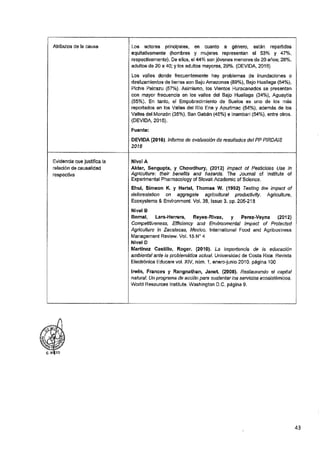 ANEXO 2 - 2019 PIRDAIS_.pdf