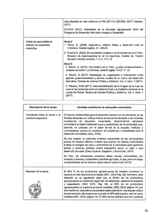 ANEXO 2 - 2019 PIRDAIS_.pdf