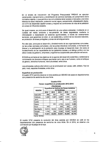 ANEXO 2 - 2019 PIRDAIS_.pdf