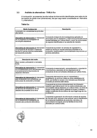 ANEXO 2 - 2019 PIRDAIS_.pdf