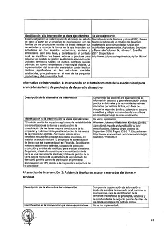 ANEXO 2 - 2019 PIRDAIS_.pdf