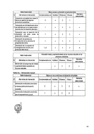 ANEXO 2 - 2019 PIRDAIS_.pdf