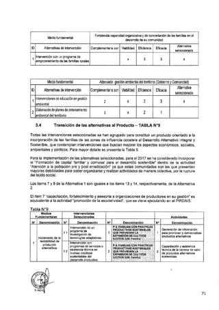 ANEXO 2 - 2019 PIRDAIS_.pdf