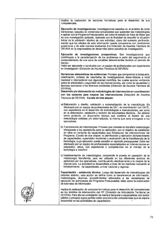 ANEXO 2 - 2019 PIRDAIS_.pdf