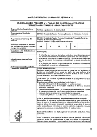 ANEXO 2 - 2019 PIRDAIS_.pdf