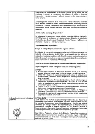 ANEXO 2 - 2019 PIRDAIS_.pdf