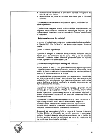 ANEXO 2 - 2019 PIRDAIS_.pdf