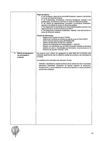 ANEXO 2 - 2019 PIRDAIS_.pdf