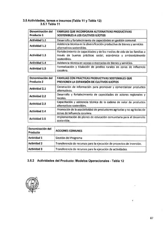 ANEXO 2 - 2019 PIRDAIS_.pdf