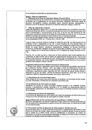 ANEXO 2 - 2019 PIRDAIS_.pdf