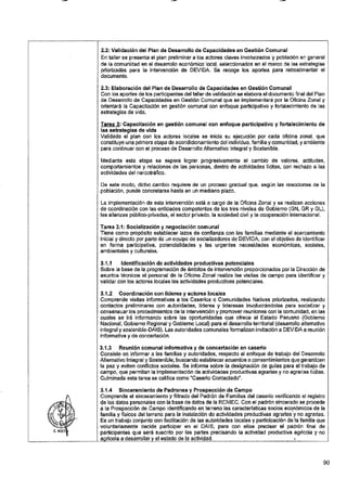 ANEXO 2 - 2019 PIRDAIS_.pdf