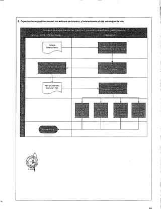 ANEXO 2 - 2019 PIRDAIS_.pdf