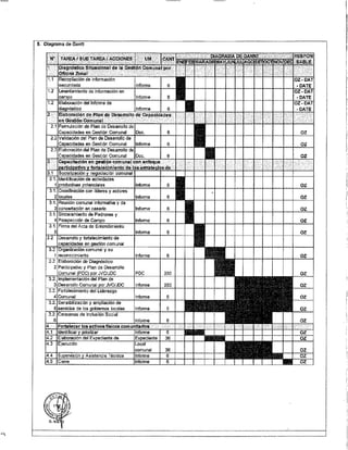 ANEXO 2 - 2019 PIRDAIS_.pdf