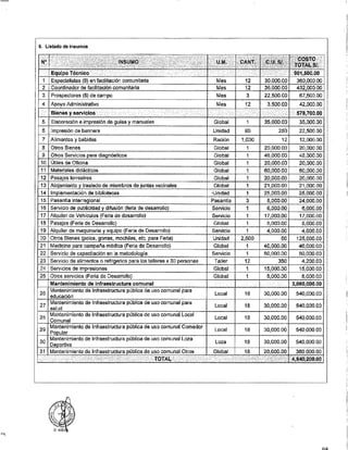 ANEXO 2 - 2019 PIRDAIS_.pdf