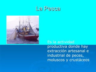 La Pesca Es la actividad productiva donde hay extracción artesanal e industrial de peces, moluscos y crustáceos 