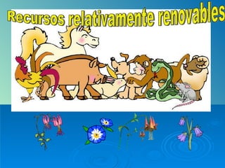 Recursos relativamente renovables                                                                               