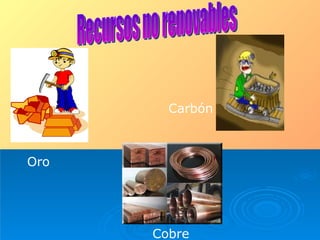 Oro Carbón Recursos no renovables Cobre 