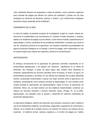 ¿Son realmente eficaces los preparados a base de plantas y otros productos orgánicos
para controlar las plagas que afectan los cultivos de hortalizas? ¿Cuáles son los más
ventajosos en términos de eficiencia, alcance y costos? ¿Las interacciones ecológicas
favorecen el buen desarrollo de las hortalizas?
SURGIMIENTO DE LA IDEA
La idea de realizar el presente proyecto de investigación surgió de nuestro interés por
solucionar la problemática que encontramos en nuestras huertas escolares y caseras,
debido a la incidencia de plagas que las afectan. Como hemos recibido capacitaciones en
agroecología y somos consientes de los problemas ambientales y sociales que causa el
uso de productos químicos en la agricultura, nos inquieta comprobar las propiedades de
algunos productos biológicos en el manejo y control de plagas, para implementar su uso
en nuestra región para mejorar las cosechas y disminuir la contaminación.
ANTECEDENTES
El enfoque convencional de la agricultura ha generado aumentos importantes en la
productividad agropecuaria y ha logrado una cobertura significativa en la oferta de
alimentos. Sin embargo, a pesar de estos logros este modelo viene afectando el
ambiente, especialmente los recursos naturales como el bosque, el suelo y el agua y la
biodiversidad de plantas y animales. En las últimas dos décadas han surgido diferentes
teorías y propuestas encaminadas a buscar una mejor armonía entre la agricultura y el
ambiente, sobresaliendo como enfoque principal la agroecología, la cual muestra como
unidad principal la optimización del agroecosistema. Hacia el futuro la producción de
alimentos, fibras, etc, se debe realizar con dos objetivos fundamentales: conservar y/o
mejorar los recursos naturales y producir alimentos sanos. (Prager, M., et al,.2002.
Agroecología, una disciplina para el estudio y desarrollo de sistemas sostenibles de
producción agropecuaria.)
La Agricultura biológica, sistema de producción que rechaza o excluye en gran medida el
uso de los fertilizantes sintéticos, los pesticidas, plaguicidas, reguladores de crecimiento y
aditivos, en la medida de lo posible recurre a la rotación de cultivos, los residuos de las
cosechas, el estiércol animal, residuos orgánicos y el control de plagas por medios
 