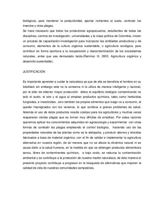 Ejemplo De Anexos En Una Investigacion Ejemplo Sencillo