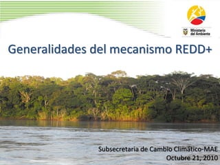 Generalidades del mecanismo REDD+
Subsecretaria de Cambio Climático-MAE
Octubre 21, 2010
 