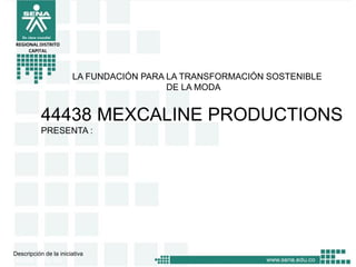 REGIONAL DISTRITO
CAPITAL

LA FUNDACIÓN PARA LA TRANSFORMACIÓN SOSTENIBLE
DE LA MODA

44438 MEXCALINE PRODUCTIONS
PRESENTA :

Descripción de la iniciativa

 
