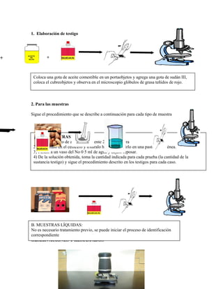 1. Elaboración de testigo
2. Para las muestras
Sigue el procedimiento que se describe a continuación para cada tipo de muestra
OBSERVACIONES Y RESULTADOS
Coloca una gota de aceite comestible en un portaobjetos y agrega una gota de sudán III,
coloca el cubreobjetos y observa en el microscopio glóbulos de grasa teñidos de rojo.
A. MUESTRAS SÓLIDAS :
1) Toma un trozo de aproximadamente 2 g de muestra
2) Deposítalo en el cenicero y tritúralo hasta convertirlo en una pasta homogénea.
3) Pásalo a un vaso del No 0 5 ml de agua y déjalo reposar.
4) De la solución obtenida, toma la cantidad indicada para cada prueba (la cantidad de la
sustancia testigo) y sigue el procedimiento descrito en los testigos para cada caso.
B. MUESTRAS LÍQUIDAS:
No es necesario tratamiento previo, se puede iniciar el proceso de identificación
correspondiente
+ +
 