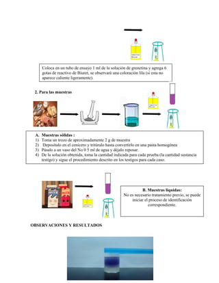 2. Para las muestras
OBSERVACIONES Y RESULTADOS
Coloca en un tubo de ensayo 1 ml de la solución de grenetina y agrega 6
gotas de reactivo de Biuret, se observará una coloración lila (si esta no
aparece caliente ligeramente).
A. Muestras sólidas :
1) Toma un trozo de aproximadamente 2 g de muestra
2) Deposítalo en el cenicero y tritúralo hasta convertirlo en una pasta homogénea
3) Pásalo a un vaso del No 0 5 ml de agua y déjalo reposar.
4) De la solución obtenida, toma la cantidad indicada para cada prueba (la cantidad sustancia
testigo) y sigue el procedimiento descrito en los testigos para cada caso.
B. Muestras líquidas:
No es necesario tratamiento previo, se puede
iniciar el proceso de identificación
correspondiente.
 
