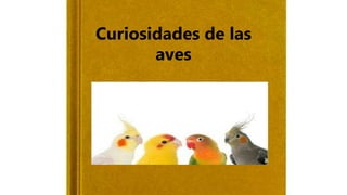 Curiosidades de las
aves
 