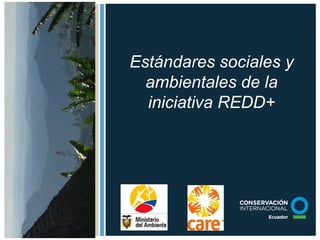 Photo 1
4.2” x 10.31”
Position
x: 8.74”, y: .18”
Estándares sociales y
ambientales de la
iniciativa REDD+
 