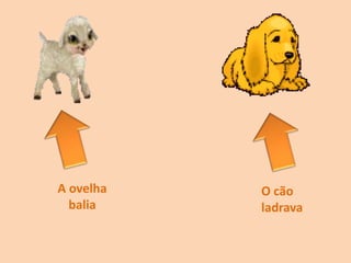 A ovelha
balia
O cão
ladrava
 